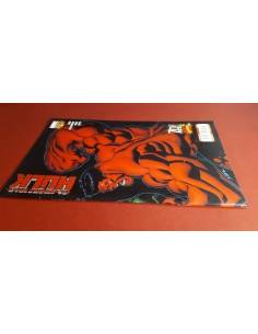 EL INCREIBLE HULK 7 EXCELENTE ESTADO PANINI