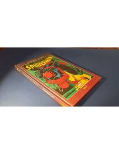 SPIDERMAN 2 EXCELENTE ESTADO PANINI