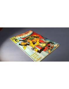 SPIDERMAN 72 FORUM