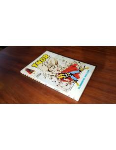 THOR 37 EXCELENTE ESTADO VERTICE