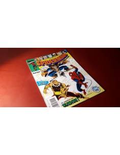 SPIDERMAN 243 EXCELENTE ESTADO FORUM