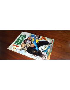 LOS 4 FANTASTICOS 25 CASI EXCELENTE ESTADO VERTICE VOL II