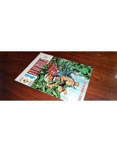 LOS 4 FANTASTICOS 22 BUEN ESTADO VERTICE VOL II