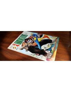 LOS 4 FANTASTICOS 25 MUY BUEN ESTADO VERTICE VOL II