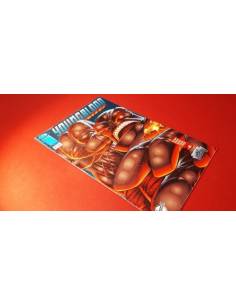 CASI EXCELENTE ESTADO YOUNGBLOOD 9 IMAGE PLANETA