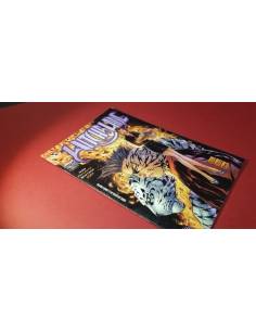 CASI EXCELENTE ESTADO WITCHBLADE 15 PLANETA IMAGE