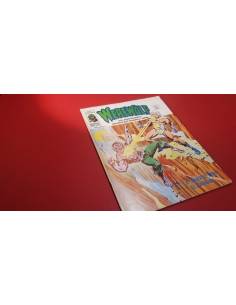 CASI EXCELENTE ESTADO WEREWOLF 19 VERTICE II