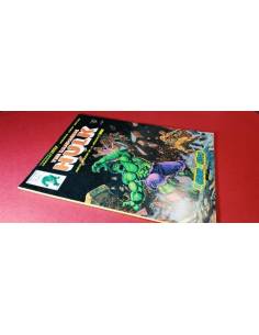 THE RAMPAGING HULK 13 VERTICE
