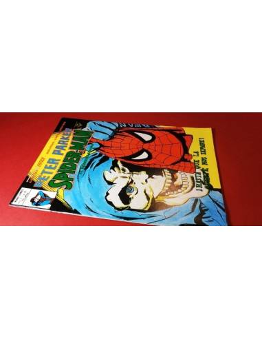 PETER PARKER SPIDERMAN 16 VERTICE SPIDER MAN