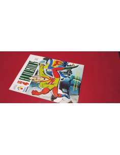 EXCELENTE ESTADO LOS 4 FANTASTICOS 27 VERTICE VOL II