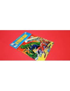 EXCELENTE ESTADO SUPER HEROES 79 VERTICE VOL II