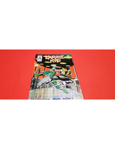 BASTANTE NUEVO KARATE KID 4 VERTICE