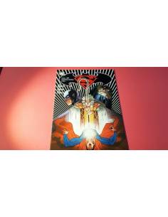 DE KIOSCO SUPERMAN BATMAN 14 DC PLANETA