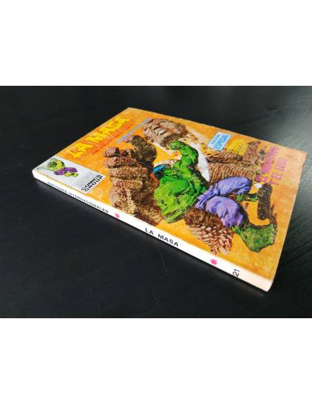 BUEN ESTADO LA MASA 21 VERTICE TACO