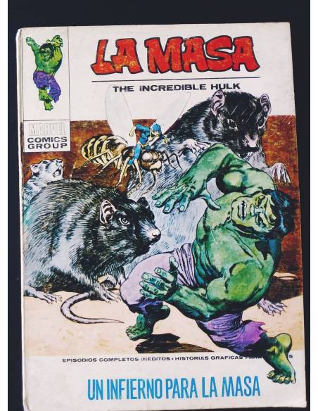 NORMAL ESTADO LA MASA 26 VERTICE TACO