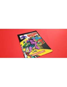 EXCELENTE ESTADO EL HOMBRE ENMASCARADO 26 VOL II VERTICE