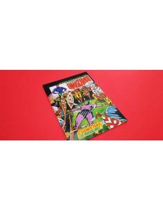 EXCELENTE ESTADO EL HOMBRE ENMASCARADO 25 VOL II VERTICE