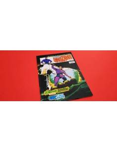 EXCELENTE ESTADO EL HOMBRE ENMASCARADO 14 VOL II VERTICE