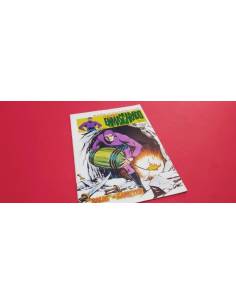 EXCELENTE ESTADO EL HOMBRE ENMASCARADO 7 VOL II VERTICE