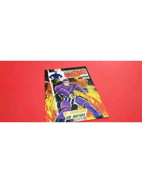 EXCELENTE ESTADO EL HOMBRE ENMASCARADO 5 VOL II VERTICE
