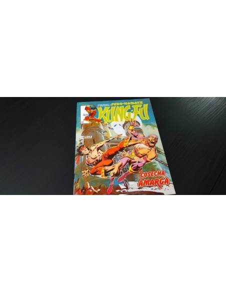 EXCELENTE ESTADO KUNG FU 10 VERTICE LINEA SURCO KUNGFU