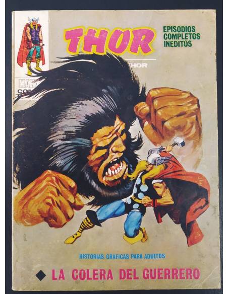 BUEN ESTADO THOR 22 VERTICE TACO