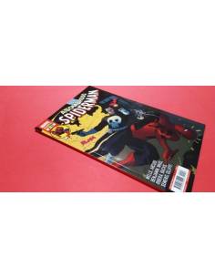 DE KIOSCO ASOMBROSO SPIDERMAN 33 AÑO 2 PANINI