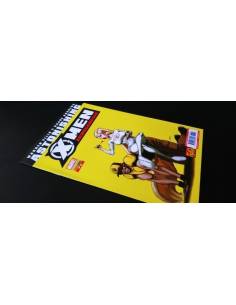 DE KIOSCO ASTONISHING X-MEN 15 VOL III PANINI