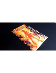 DE KIOSCO LOS 4 FANTASTICOS 29 AÑO II MARVEL PANINI COMICS