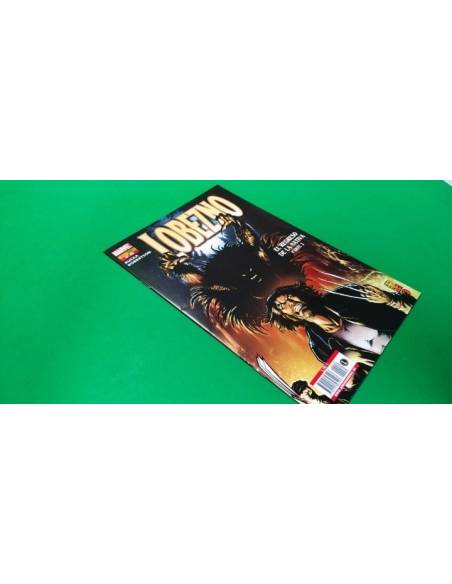 DE KIOSCO LOBEZNO 30 PANINI COMICS