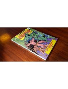 ESPADA SALVAJE CONAN EXCELENTE ESTADO RETAPADO 74-75-76...