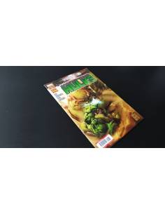DE KIOSCO L9S INCREIBLES HULKS 5 PANINI COMICS
