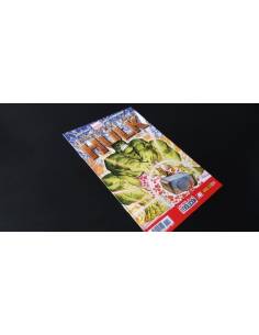 INCREIBLE HULK 14 AÑO II PANINI COMICS
