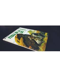 BASTANTE NUEVO TENIENTE BLUEBERRY 10 DARGAUD GRIJALBO