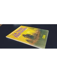 BASTANTE NUEVO TENIENTE BLUEBERRY 21 DARGAUD GRIJALBO