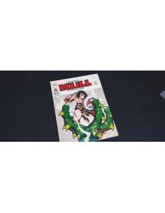 BASTANTE NUEVO SUPER HEROES 25 VERTICE VOL II