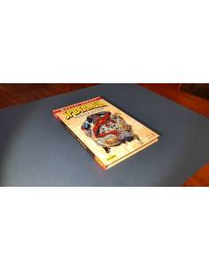 MARVEL HEROES SPIDERMAN EXCELENTE ESTADO VUELTA A CASA...