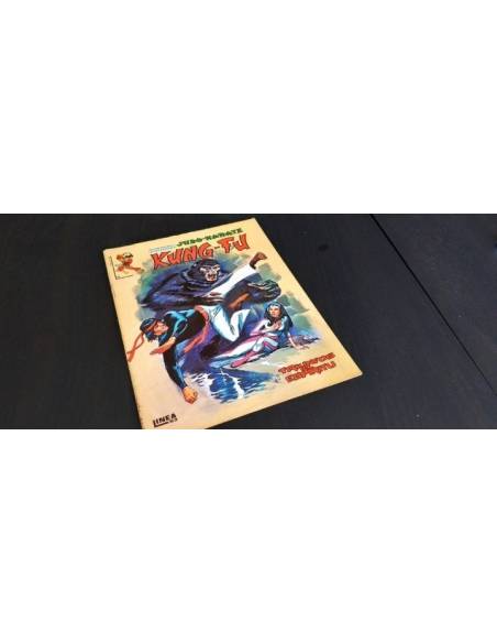 EXCELENTE ESTADO KUNG FU 6 VERTICE LINEA 83