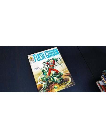 EXCELENTE ESTADO FLASH GORDO 13 VERTICE VOL I