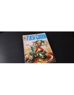 BUEN ESTADO FLASH GORDO 13 VERTICE VOL I