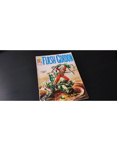 BUEN ESTADO FLASH GORDO 13 VERTICE VOL I
