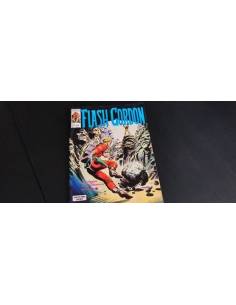 EXCELENTE ESTADO ESTADO FLASH GORDO 4 VERTICE VOL I
