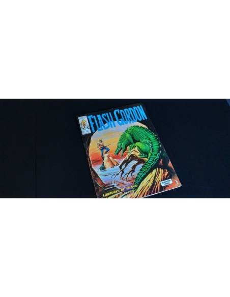 MUY BUEN ESTADO ESTADO FLASH GORDO 21 VERTICE VOL I