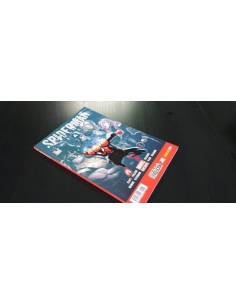 EXCELENTE ESTADO SPIDERMAN SUPERIOR 84 PANINI