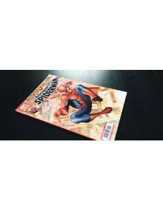 DE KIOSCO ASOMBROSO SPIDERMAN 22 PANINI