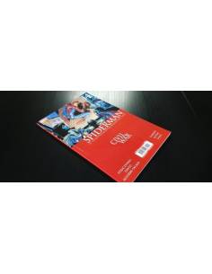 CASI EXCELENTE ESTADO ASOMBROSO SPIDERMAN 14 PANINI CIVIL...