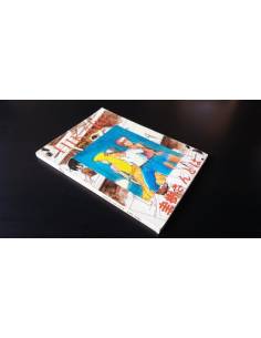 MUY BUEN ESTADO HIKARI ENTRE DOS MUNDOS MANGA