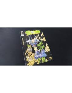 EXCELENTE ESTADO SPAWN 57 IMAGE PLANETA