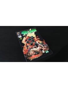 CASI EXCELENTE ESTADO SPAWN 25 IMAGE PLANETA