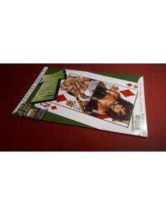 PATRULLA X 43 EXCELENTE ESTADO PANINI EDICION ESPECIAL